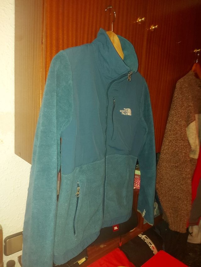 Polar the North face