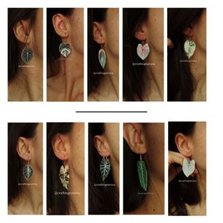 🪴 Pendientes Plantas Tropicales 🪴