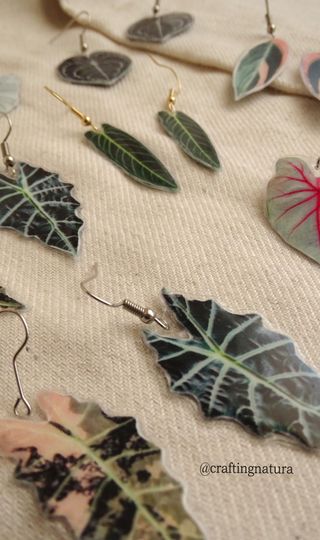 🪴 Pendientes Plantas Tropicales 🪴