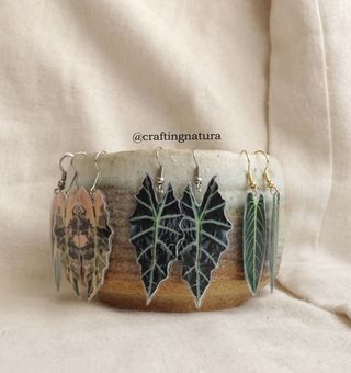 🪴 Pendientes Plantas Tropicales 🪴