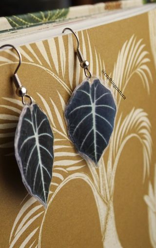🪴 Pendientes Plantas Tropicales 🪴