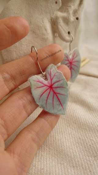 🪴 Pendientes Plantas Tropicales 🪴