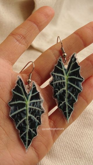 🪴 Pendientes Plantas Tropicales 🪴