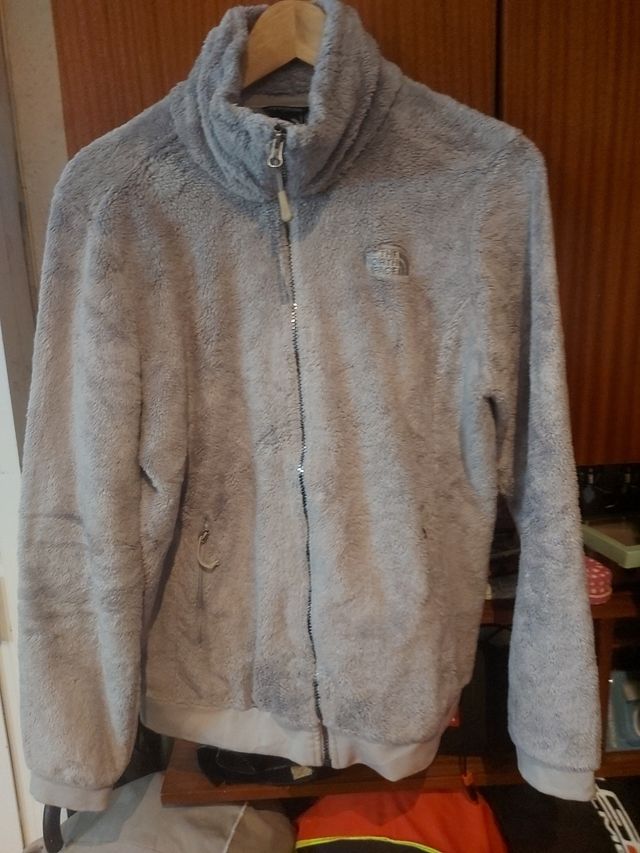 Polar the North face