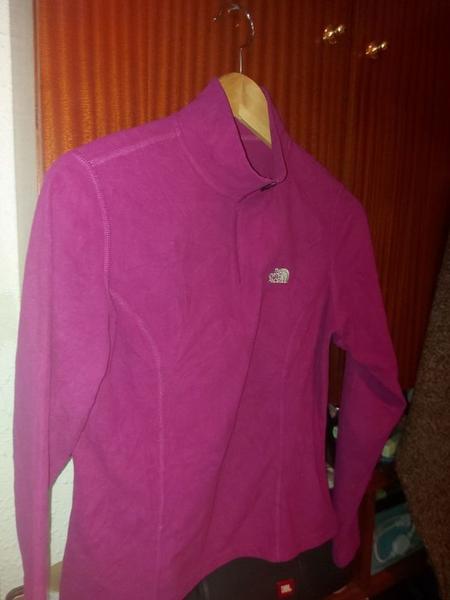 Polar the North face