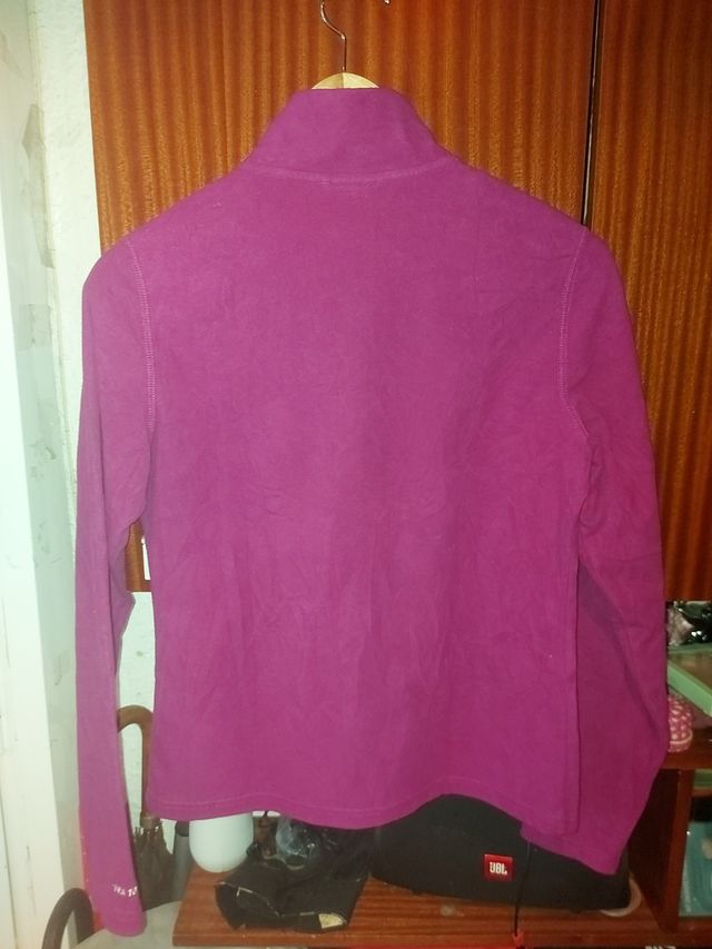 Polar the North face