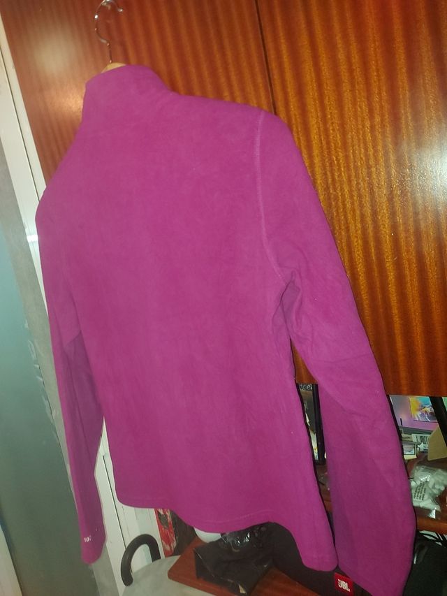 Polar the North face