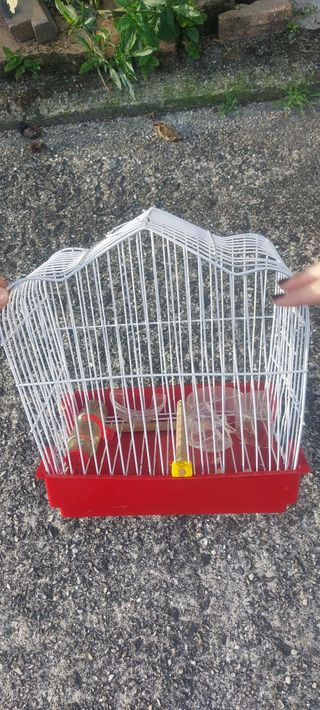 Jaula Pájaros