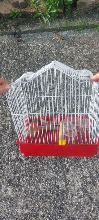 Jaula Pájaros