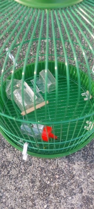 Jaula de pájaros