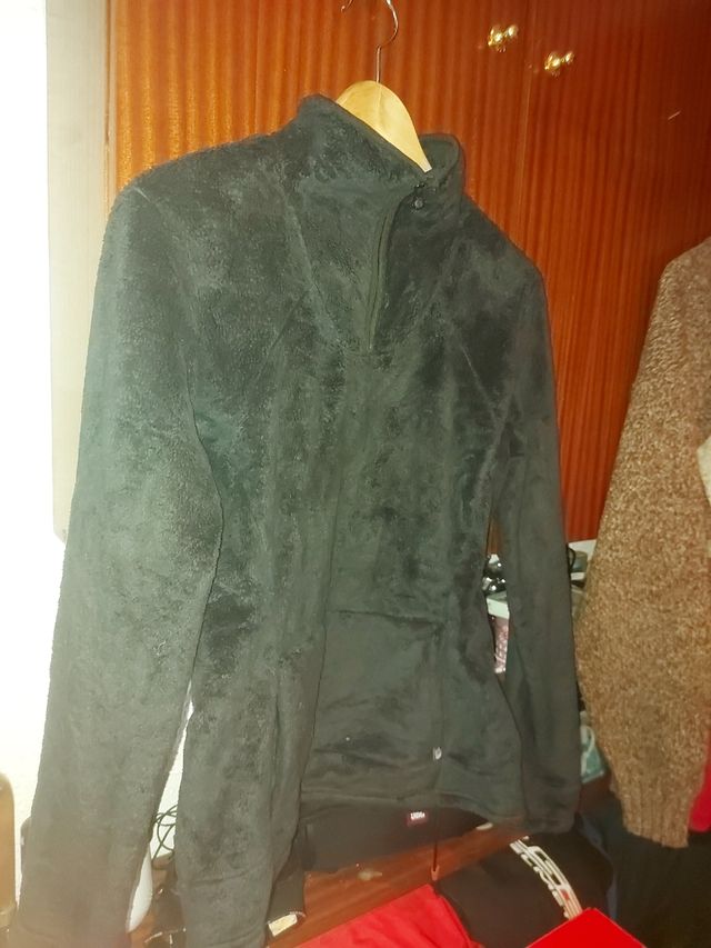 Polar the North face