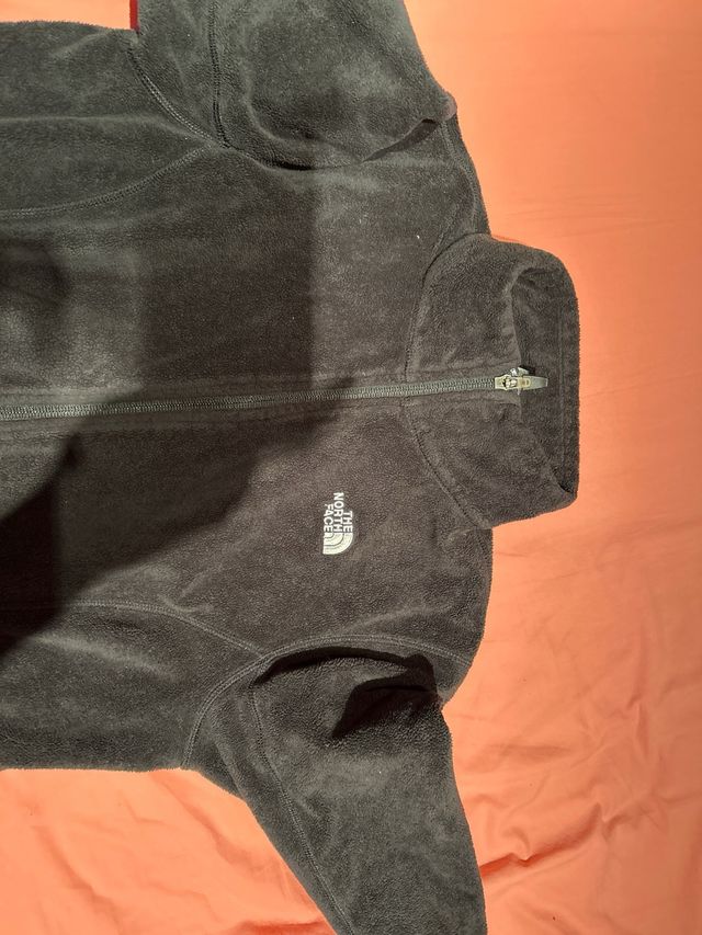 Polar the North face