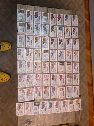 LOTE DECIMOS LOTERIA NACIONAL 1996