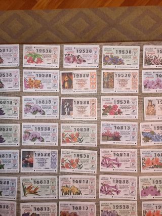 LOTE DECIMOS LOTERIA NACIONAL 1996