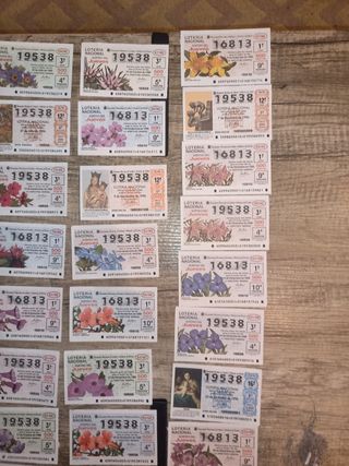 LOTE DECIMOS LOTERIA NACIONAL 1996