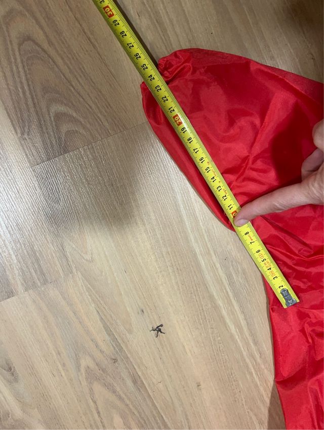 Chubasquero de perro