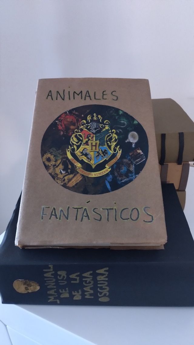 Decoración Comunión Harry Potter: 4