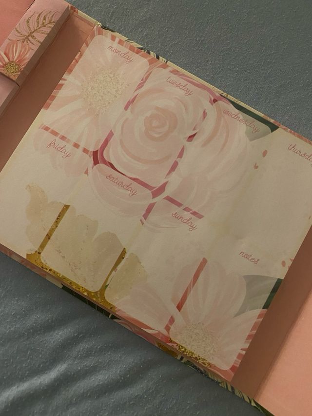 Organizer settimanale