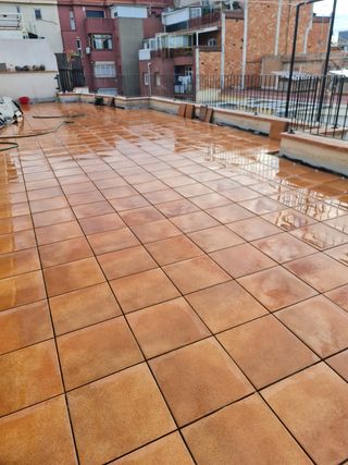 paleta, pladurista y pintor