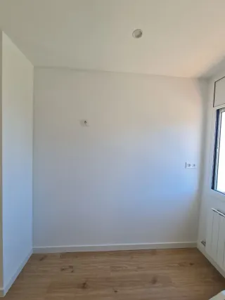 paleta, pladurista y pintor