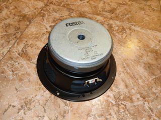 Subwoofer 100W Fostex
