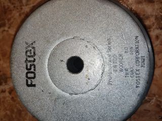 Subwoofer 100W Fostex