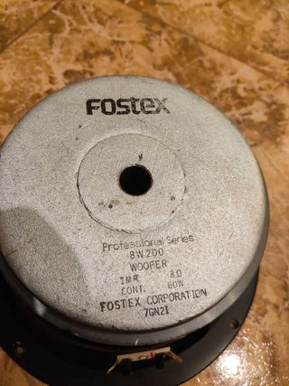 Subwoofer 100W Fostex