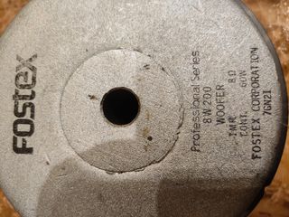 Subwoofer 100W Fostex
