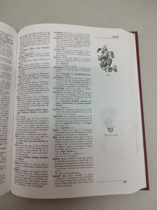 Diccionari Barcanova de la Llengua