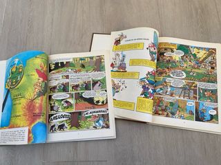 Asterix y el caldero La odisea de Asterix