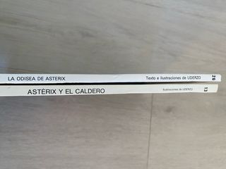 Asterix y el caldero La odisea de Asterix