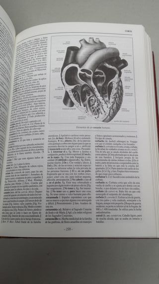 Diccionario Ilustrado Oceano