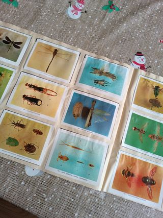 Geo-ciencias - cromos