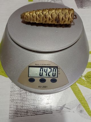 Pigna pendola per orologio a cucù