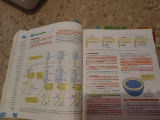 Biología, matematicas II y quimica 2bach