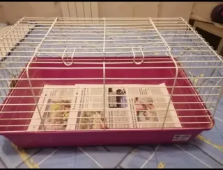 Jaula para conejo o cobaya