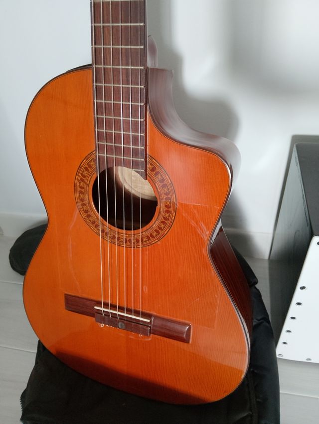 Guitarra amplificada palosanto luthier Miguel Ange