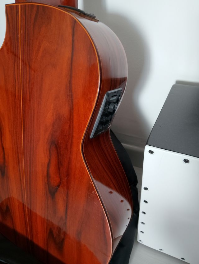 Guitarra amplificada palosanto luthier Miguel Ange