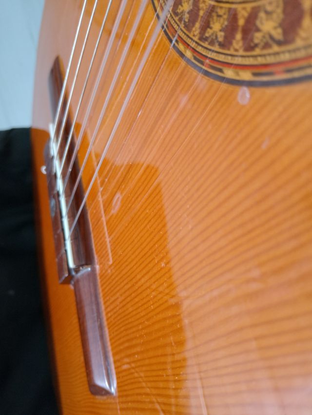 Guitarra amplificada palosanto luthier Miguel Ange