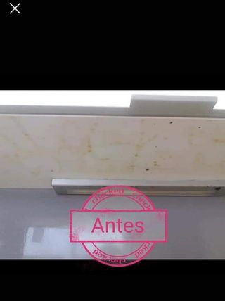 Servicios de limpieza.