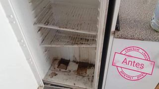 Servicios de limpieza.