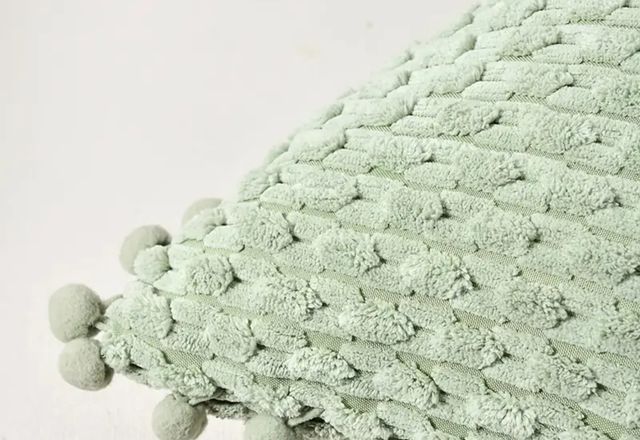 Dos fundas de cojines elegantes y un relleno 