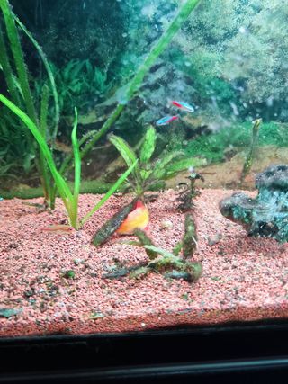 SE VENDE ACUARIO DE 120 LITROS