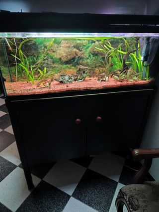 SE VENDE ACUARIO DE 120 LITROS