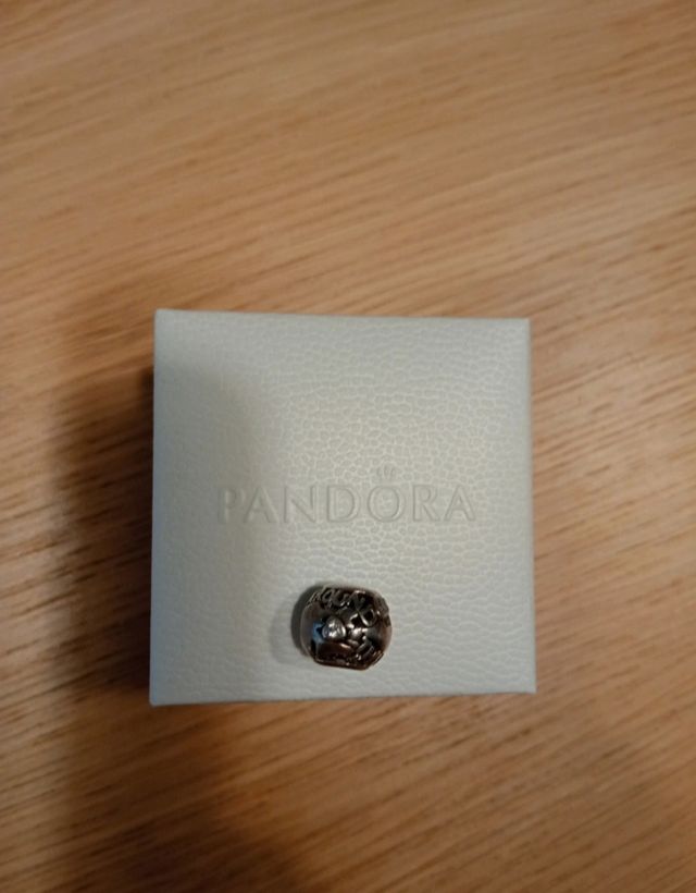 Charm pandora