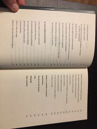 EL INFINITO EN UN JUNCO. Irene Vallejo.