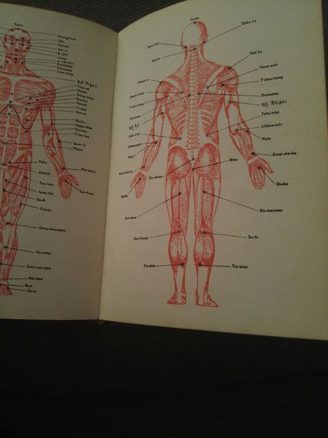 Karate do de colección Herakles manual práctico