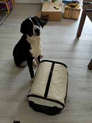 Transportín de animales