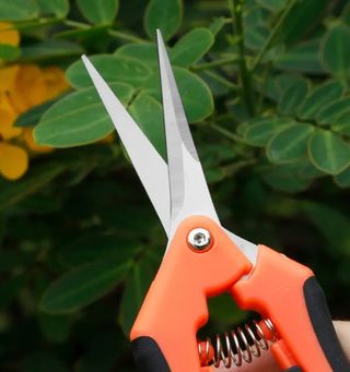 Tijeras de podar