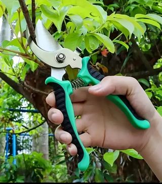 Tijeras poda profesional